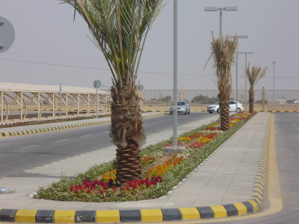 مشروع ١٤