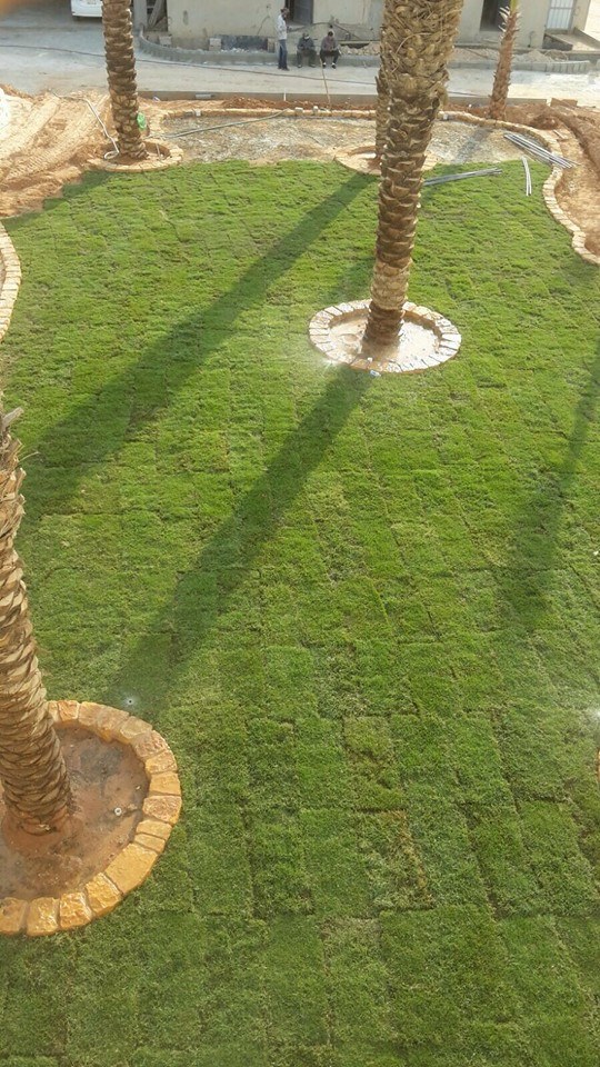 مشروع ٤
