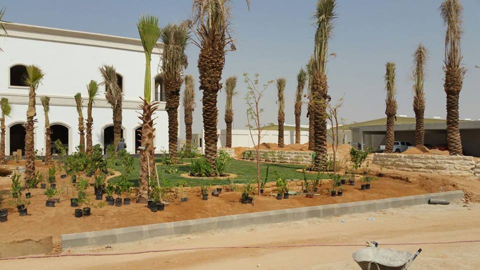 مشروع ٦