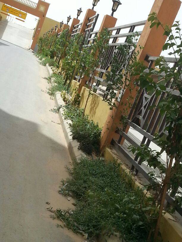 مشروع ٨